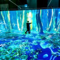 Indoor 7d Interactive Projector Wall Floor Holographic Projection For Restaurant