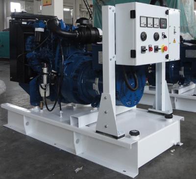 gerador diesel sem escova de 25kva Perkins com o motor 404D-22TG