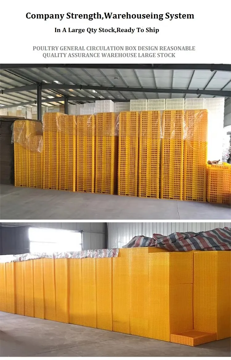 Heavy Duty Plastic Poultry Transport Crate Customizable Colors Sizes For Secure Delivery