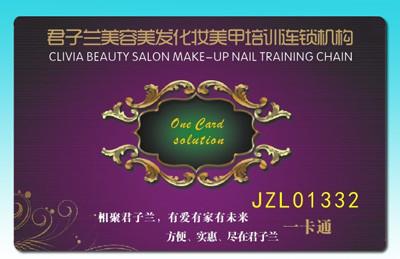 125KHz+13.56MHz Dual frequency Card / Long distance EM4200+FM11RF08 Composite chip Card