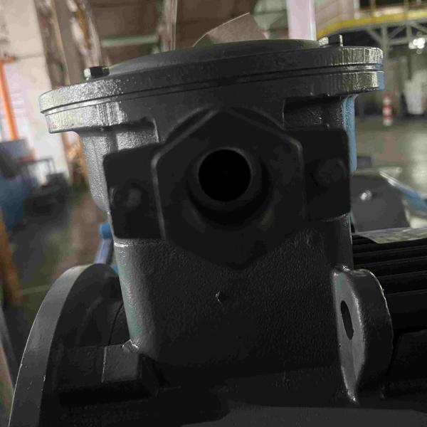 Efficace à faible bruit des moteurs électriques 50/60Hz monophasé haut