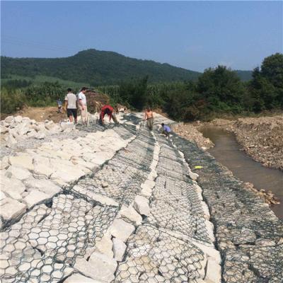 Paroi en gabion galvanisé enduit pour protéger les pentes et verdir le paysage