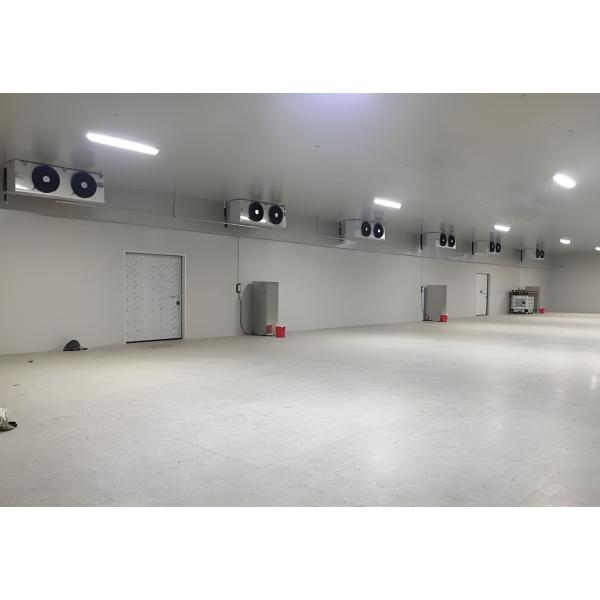 Lâmpadas LED Chill Cold Room Optimum Refrigeração Com Compressor Copeland