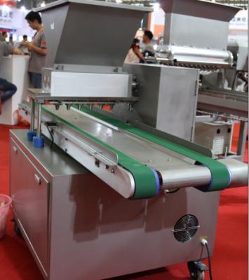 300 - Servo motor da máquina do depositante do bolo de 600 Trays/Hr com o tela táctil do PLC do delta