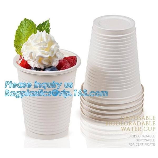 Коробка бенто пластикового устранимого пластикового взятия качества еды отсутствующая с 4 отсек, пищевой контейнер контейнеров пластиковый течебезопасный