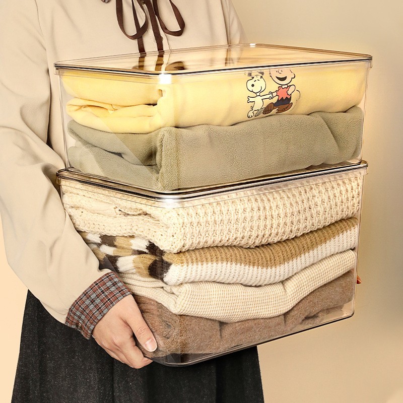 PET Thickened Storage Box Moisture-Dust Proof Rectangle Plastic for Multi-Grain Snacks & Clothing Load Capacity 5kg