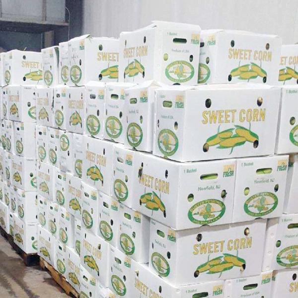 Многоразовый овощ гофрировал зеленый цвет толщины коробок 2mm-11mm желтый