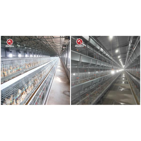 Клетка цыпленка яйца ячеистой сети 60-384, клетка сельского хозяйства слоя HDG Q235