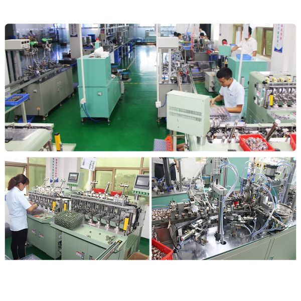 Customized High Torque 12v 24v Planetary Gearbox Dc Motor