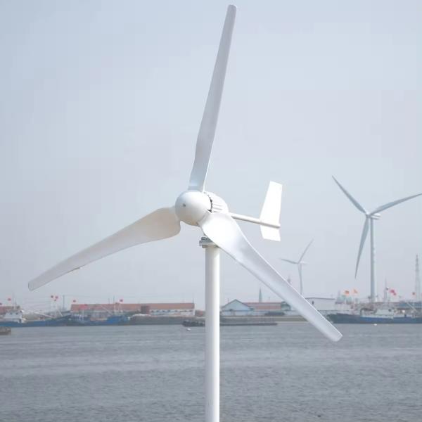 5KW/10Kw Personal Home Wind Turbine Reinforced Glass Fiber Blade