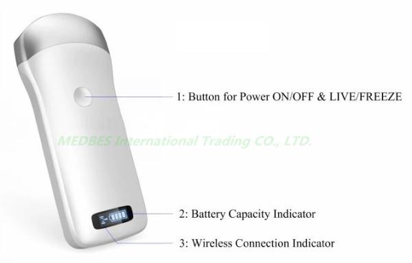 Apple IPAD mini/IPAD air/IPHONE,Android PhonesWireless Ultrasound Scanner