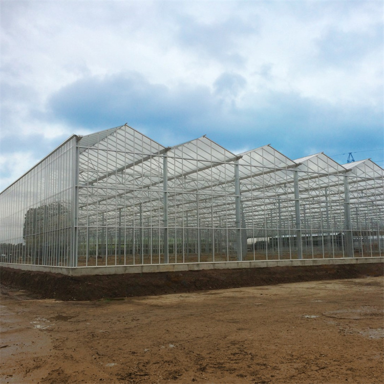 Multi-Span 4 Sunroom Теплица Venlo из закаленного стекла Полностью автоматизированная вентиляция