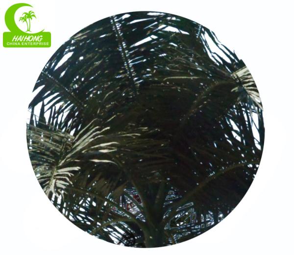 Royal 15m Artificial Coconut Palm Trees For Outdoor And Indoor