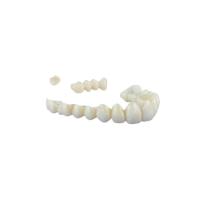 Couronne dentaire de dent de zircone de laboratoire de la Chine aucune dents de porcelaine de zircone d'irritation