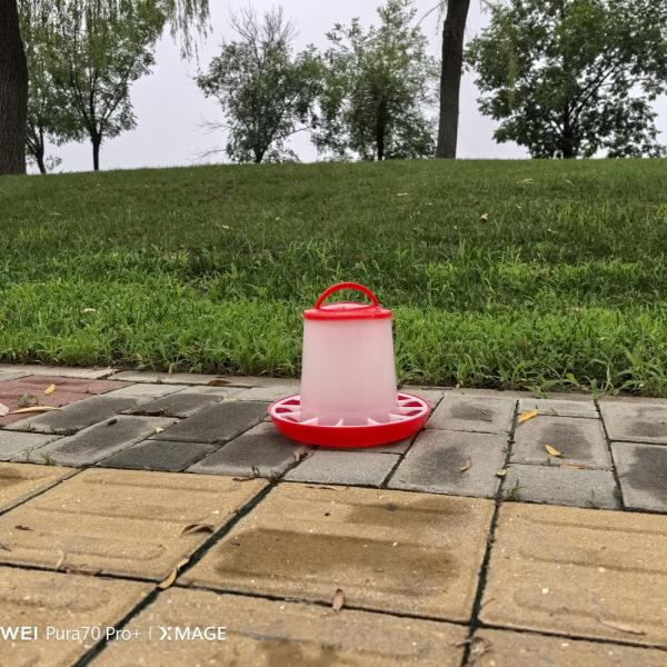 Innovative Freestanding Chicken Feed Dispenser With Cylinder Technology