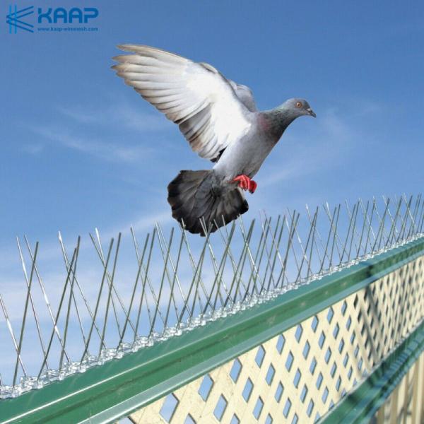 Птица пластиковой нержавеющей стали анти- берет на острие для жилой крыши