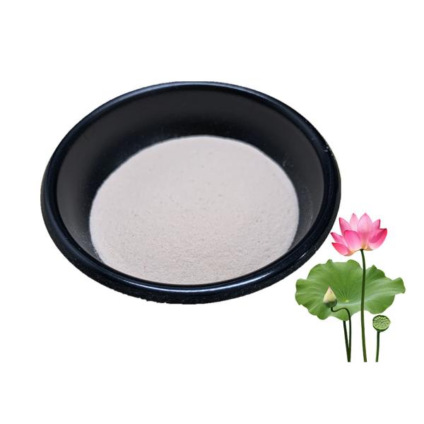 Water Soluble Lotus Natural Extracts Natural Slimming Powder 2% 5% Nuciferine