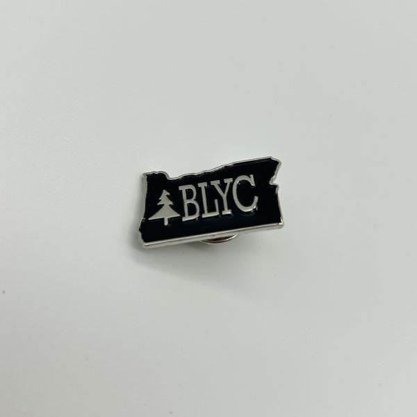 Zebra Pattern Awareness Ribbon Enamel Pin – Medical Condition Advocacy Brooch for Backpacks