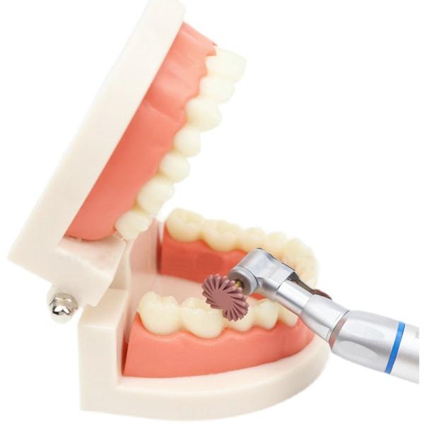 6Pcs Dental Rubber Diamond Polisher Impeller CA RA Polishing Composite Kits Discs Wheel