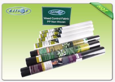 Agriculture Non Woven Cover Control Fabric PP Spunbond Nonwoven Fabric With 3% UV