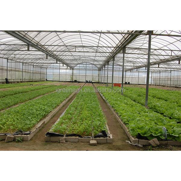Film Surface Insulated Greenhouse Kits For Flowers And Vegetables Growing