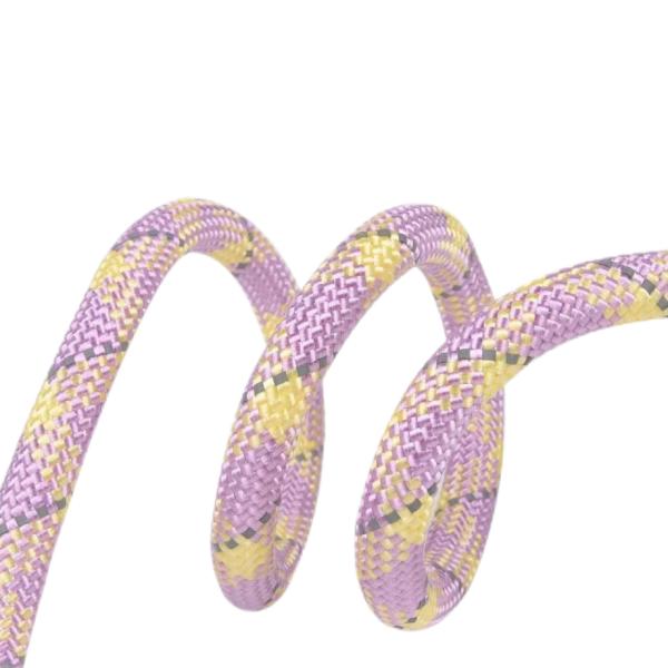 Sessões de Treinamento de Cadeia de Cães à Prova de Explosão de Alta Segurança