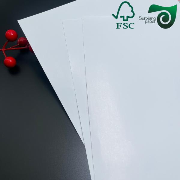 FSC 250gsm High Brightness Glossy Text Cover Paper 610mm 860mm Excellent Printability
