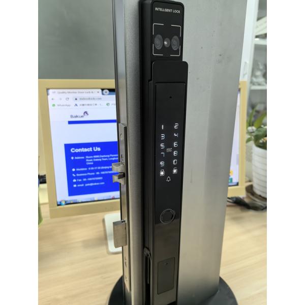 Facial Recognition / Cat Eye Video / Palm Vein Smart Door Lock IP65 Aluminum Smart Digital Door Lock Supplier