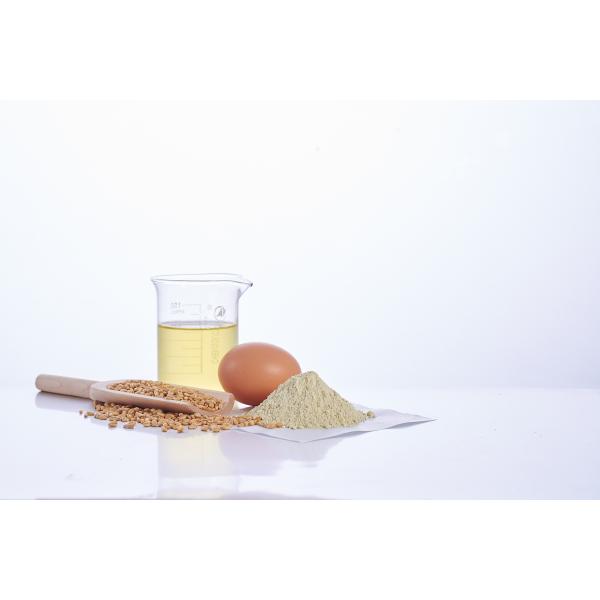 Food Grade 2000U/G Exopeptidase Enzyme Aminopeptidase Enzyme