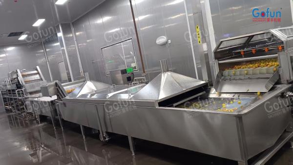 Industrial Berry Juice Processing Line for Jam Production 20-1500T/Day