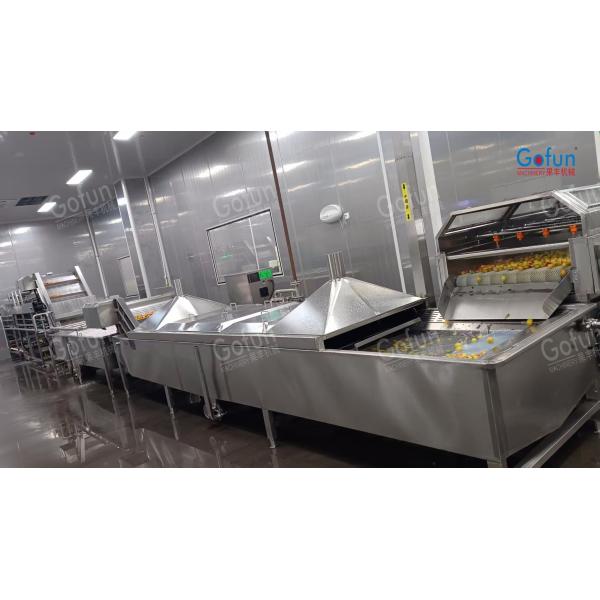Modular Large Tomato Processing Line Machine With Daily Output Of 100 Tons And Above