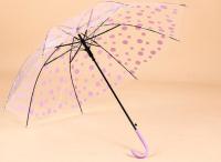 Parapluie clair du cadre noir 10C POE avec la pleine impression de panneau