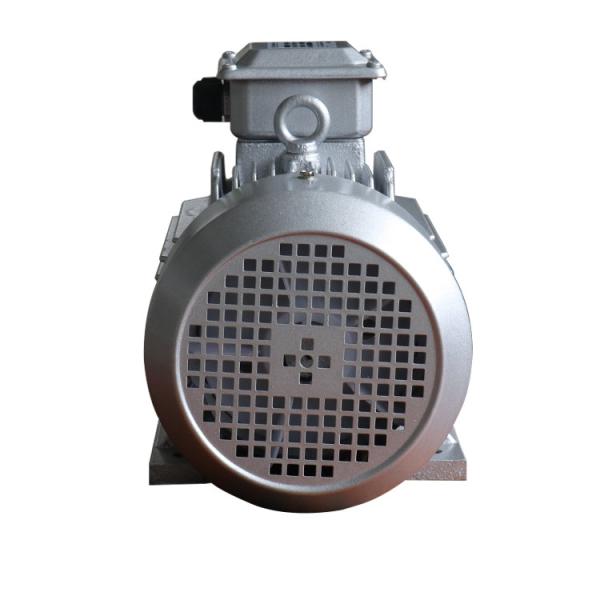 Aluminum IE2 5.5kW 4HP 3 Phase Induction Motor MS132S-4