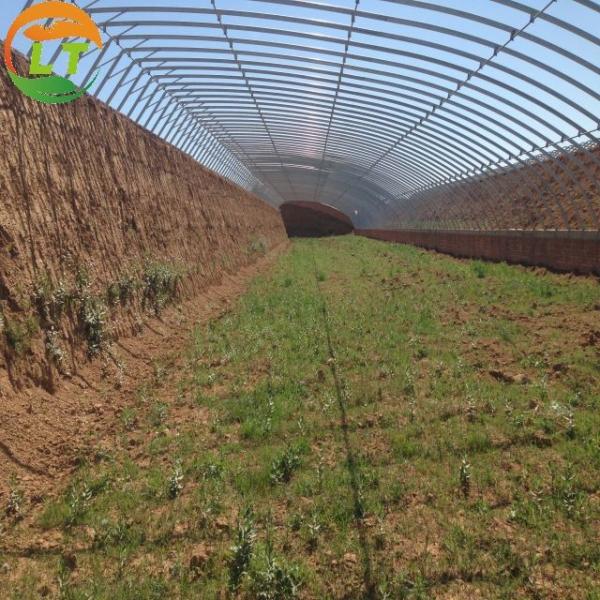 Largura personalizada Estufas tradicionais de vegetais solares com material de cobertura de filme