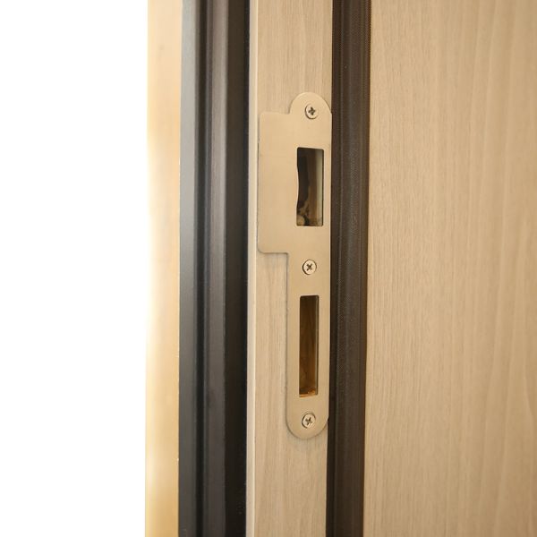 Modern Painted Wooden Doors Interior XDF1401 For Multi Scenes