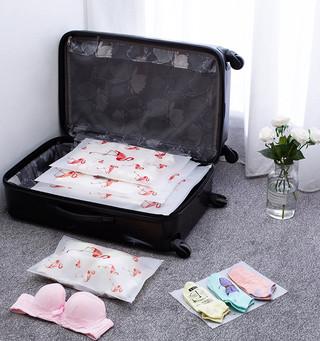 Pe Custom Plastic Bags Waterproof Underwear Storage Bag For Clothing