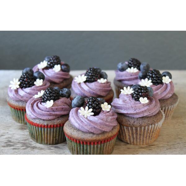 100% natural Anti-oxidant Freeze-dried Blueberry/Bilberry Fruit Extract with Anthocyanidin 25%