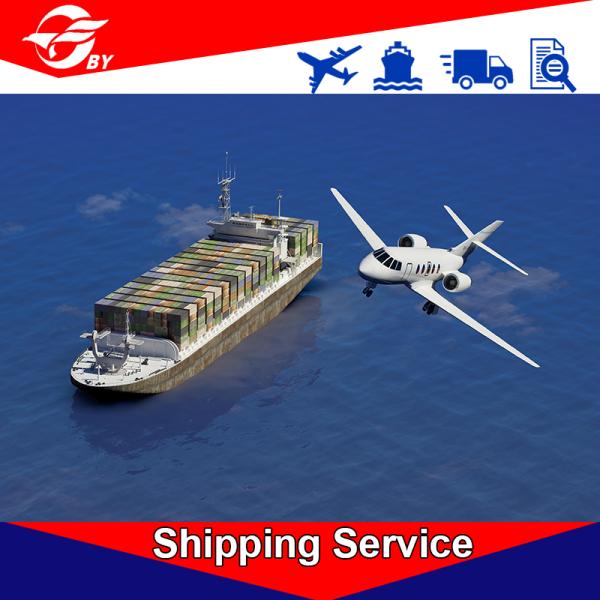 Door To Door DDP Delivery Services Qingdao To Miami Tampa Orlando St. Petersburg