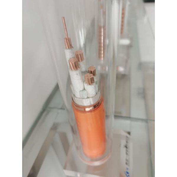 750V PVC Heavy Metal Sheathed Mineral Insulated Cable