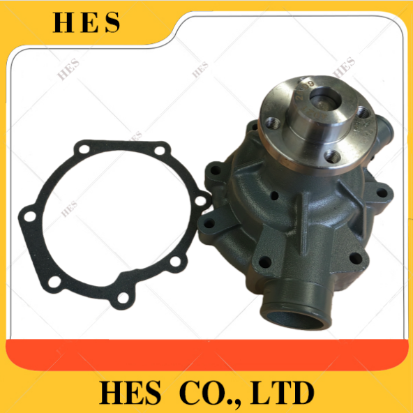 1000054021 WATER PUMP WP6