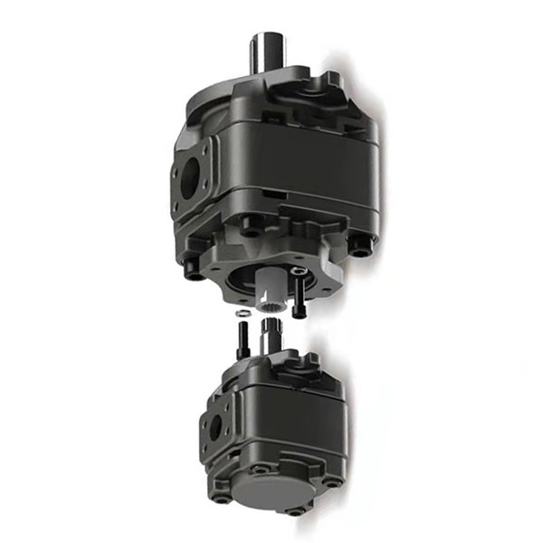 Механическая уплотнитель Гидравлический редуктор Масляный насос Викерс 5001454-004