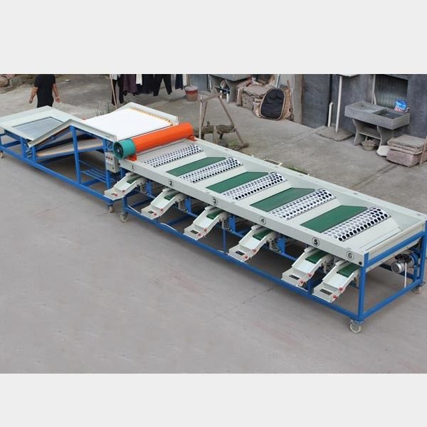 5-8 сортировальная машина плода емкости t/h автоматическая вощия