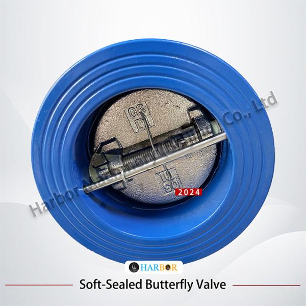 Direct Supply from DH77X-10 Wafer Connection Check Valve with Cast Iron Structure