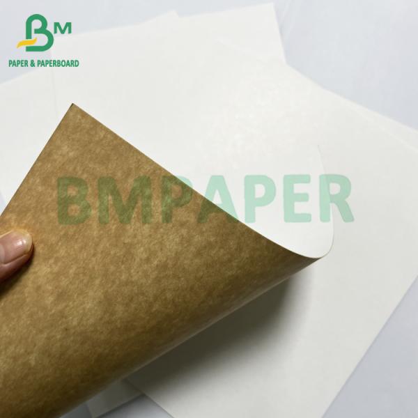 300gm Buena estabilidad de impresión cartón Kraft recubierto de un lado para el embalaje de alimentos