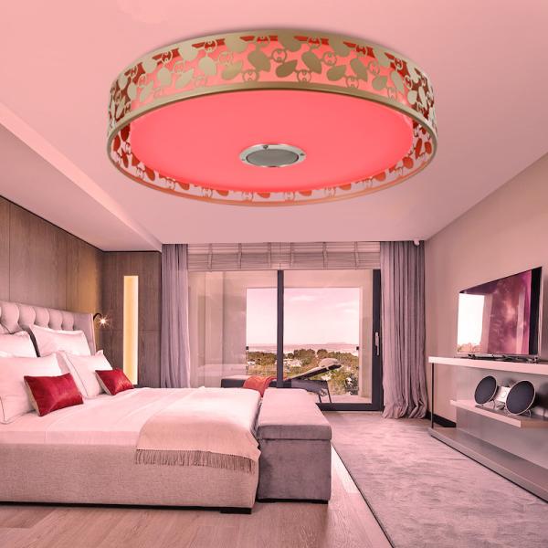 Fancy kitchen Bluetooth Music ceiling lights with APP Remote controller (WH-MA-38)
