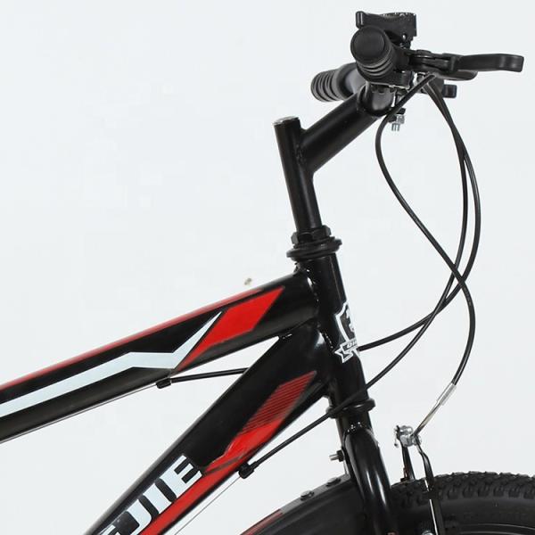 Thicken Cross-Country Tire 20 inch Kids' Bike Popular Colour Matching Bike Velo Enfants Children Bicycles Cycle for Boys