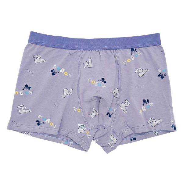 Men Boxer Brief Cotton Wholesale Rich Colors Plus Size Men's Boxer Briefs