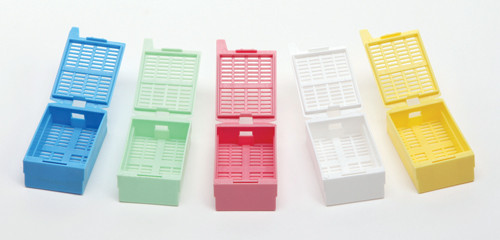 Arm Type Wireless Blood Pressure Monitor B6A & B for Sale / Cheapest Home Use Blood Pressure Monitor for Elderly