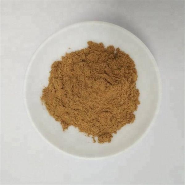 Radix Notoginseng P.E./Pseudo-ginseng/san qi Herbal Dietary Supplement
