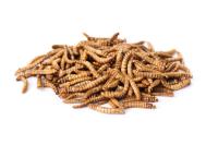 Mealworms Yee Fish Food Dried Mealworms 100%Pure Natural Bulk Nirds Fish Small Pet Food